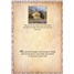 Sympathy SCD50791